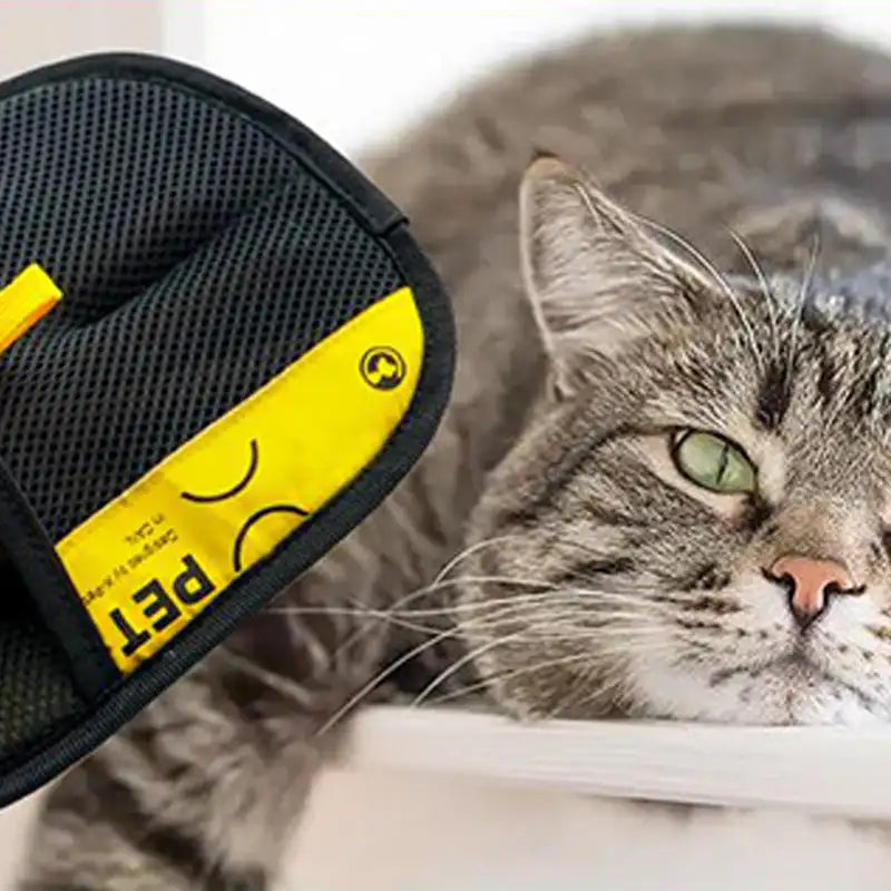 Grooming Gloves