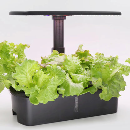 Indoor Hydroponic Growing System Kit